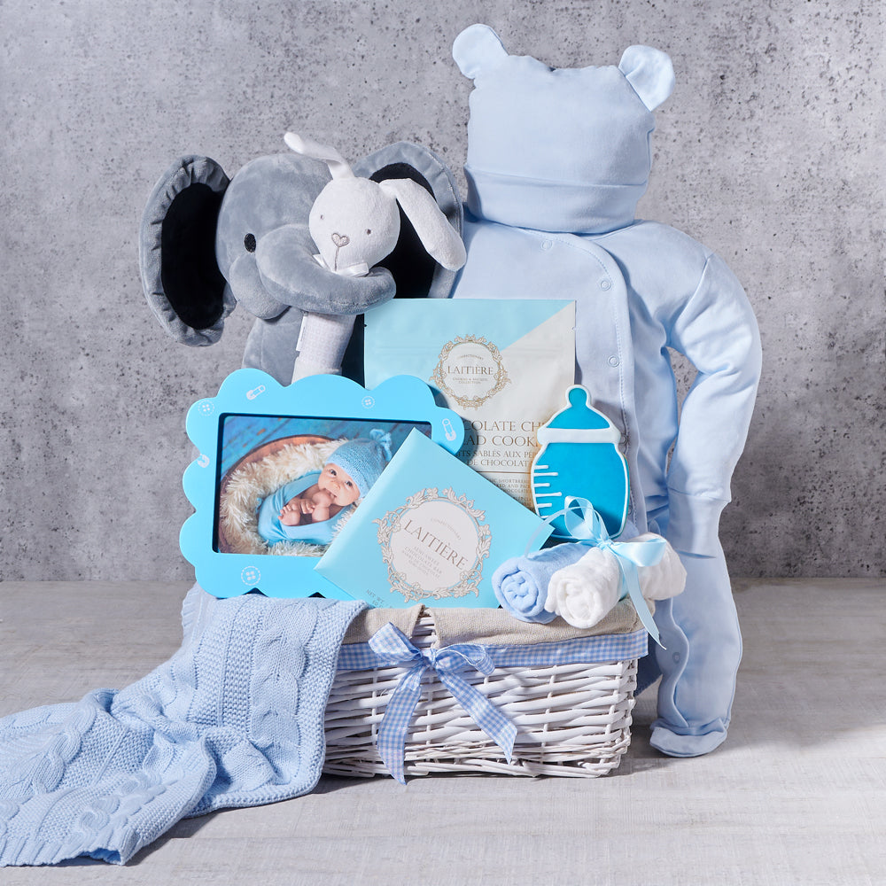 Newborn Baby Boy Gift Basket, baby gift, baby, new baby boy gift, new baby boy