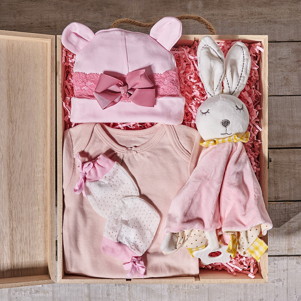 Baby Girl Crate, baby gift basket, baby gift, baby, baby shower gift, baby shower, baby girl gift