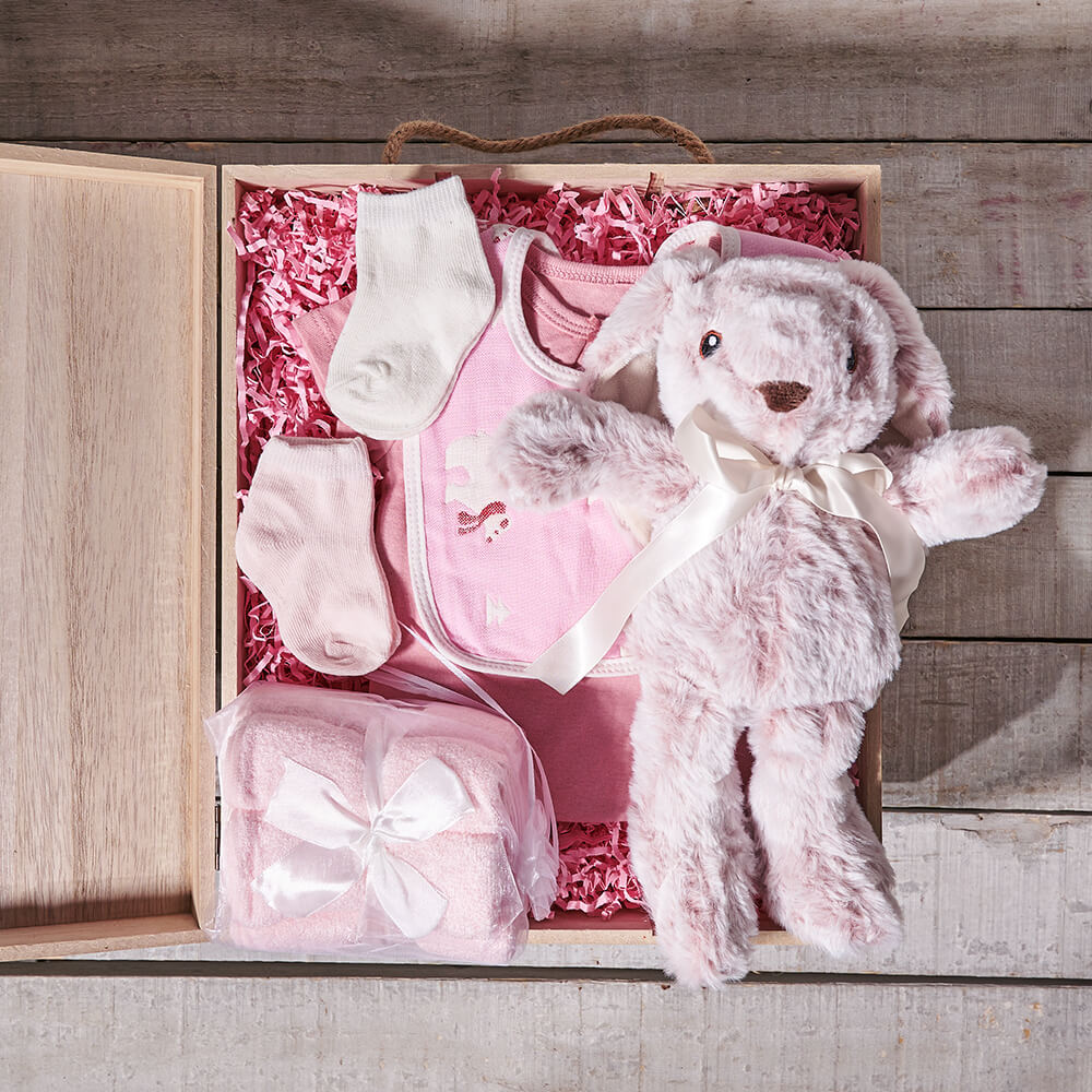 Baby Girl Starter Crate, baby gift basket, baby gift, baby, baby shower gift, baby shower, baby girl gift