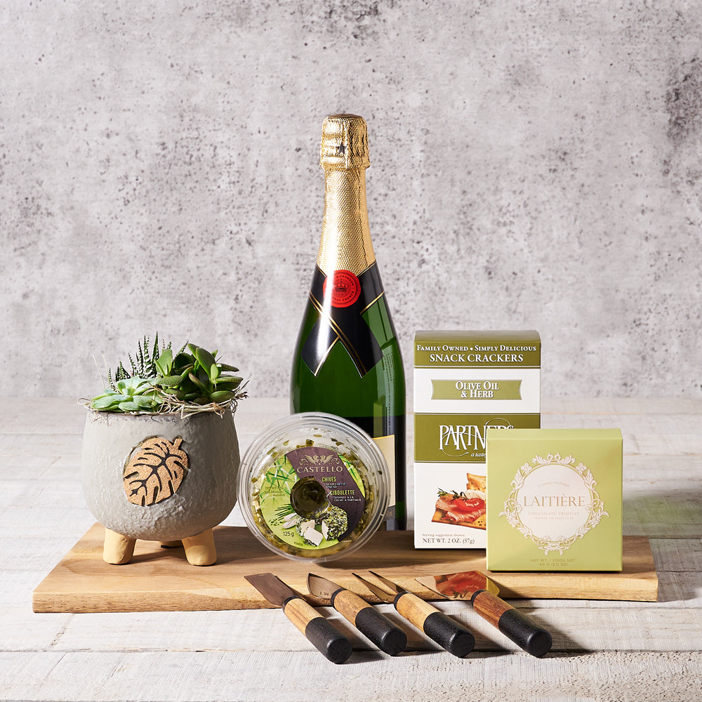 Gourmet Succulent Arrangement Gift – how the gift is presented