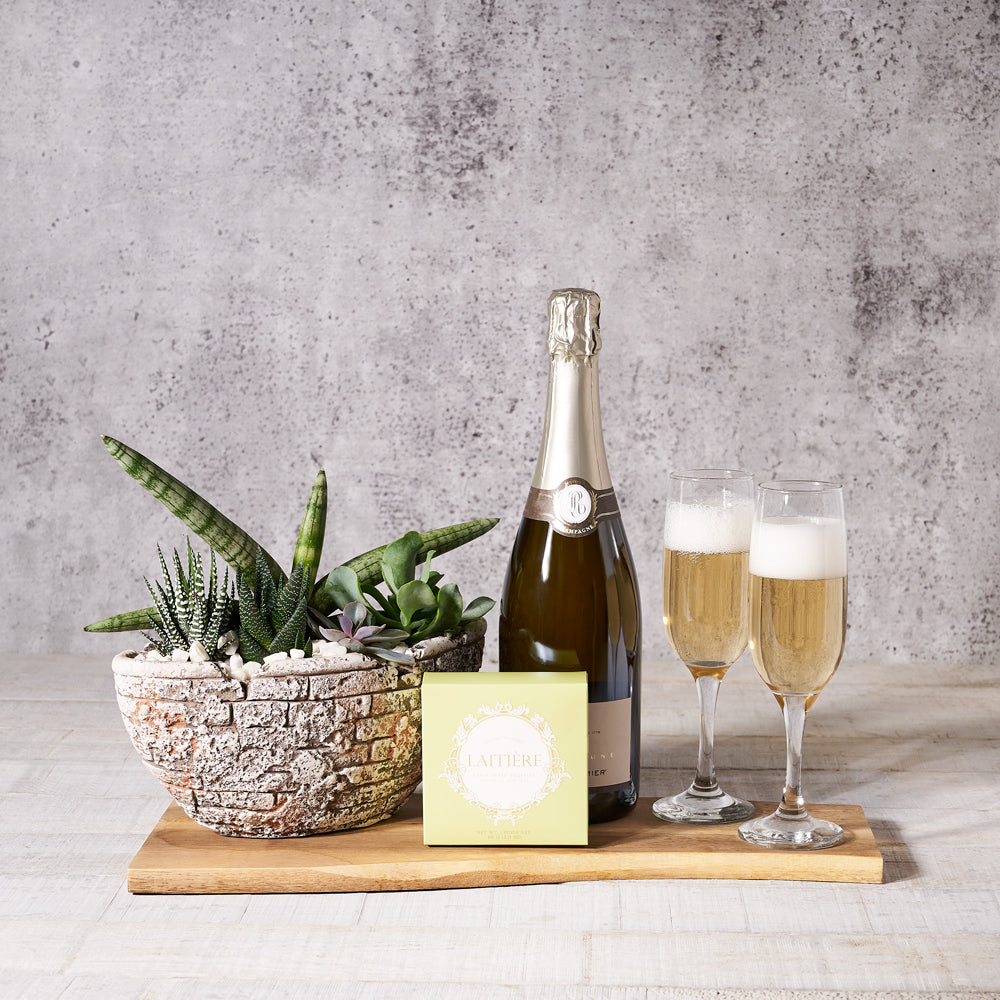 Sparkling Wine and Decorative Planter Set – how the gift is presented