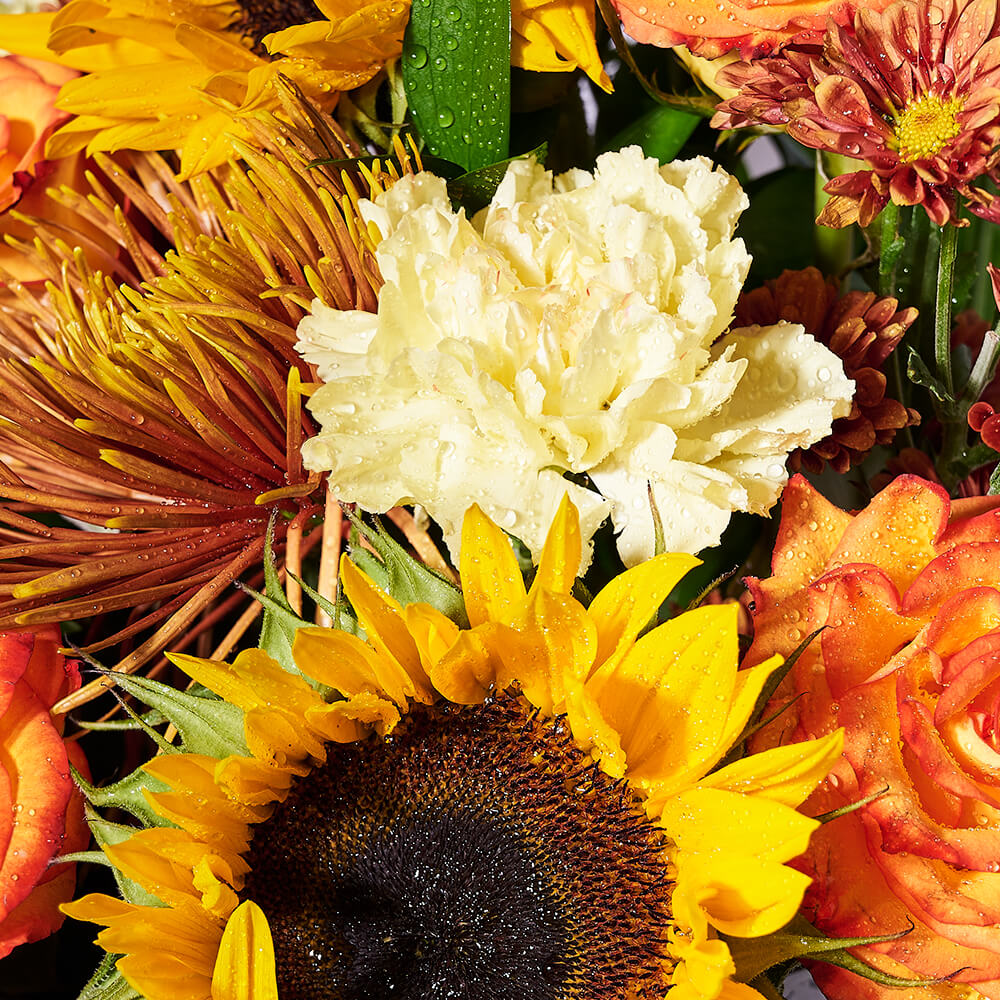 Colors of Fall Arrangement, floral gift, floral, flower gift, flower, fall gift, fall, thanksgiving gift, thanksgiving