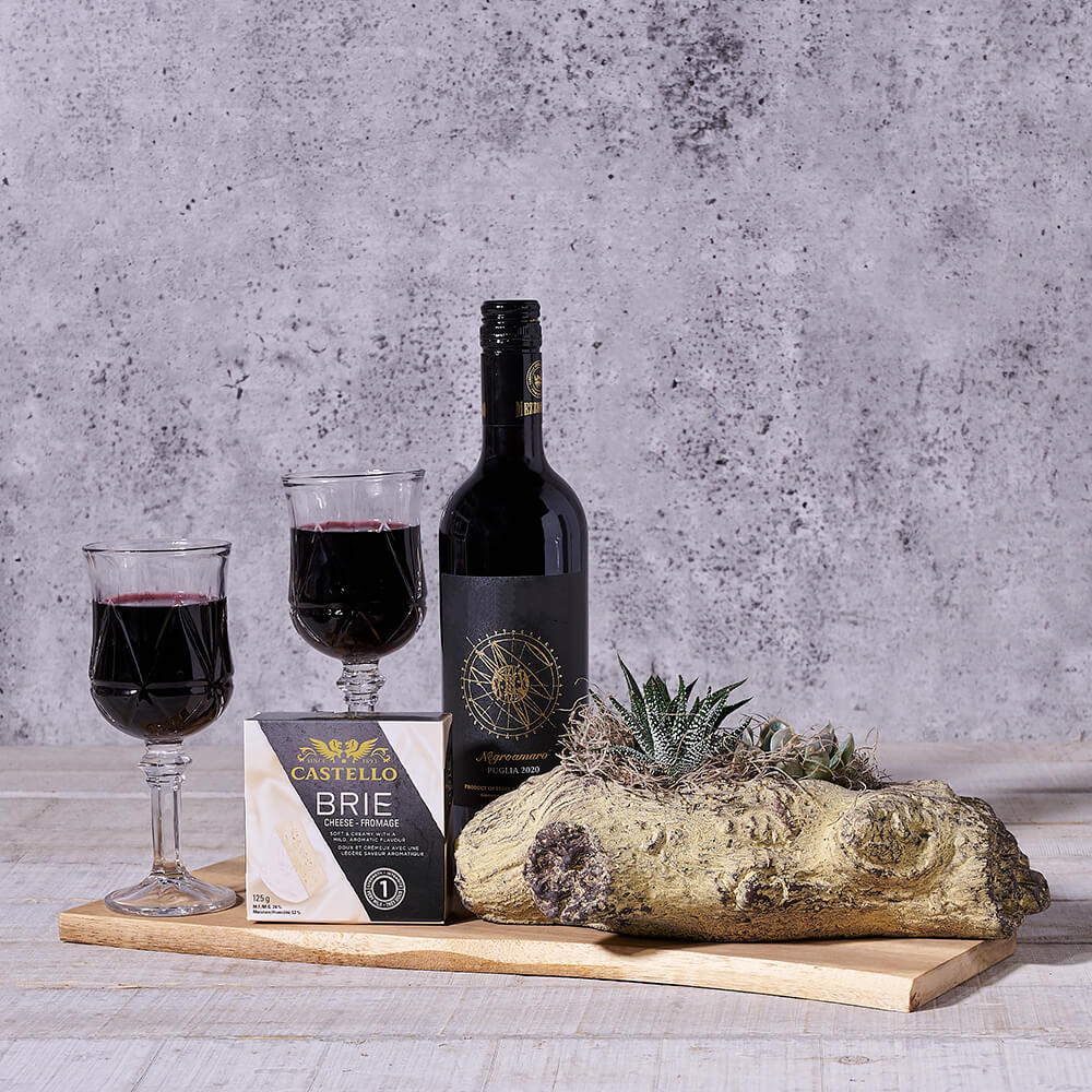 Wine Basket with Succulents – how the gift is presented