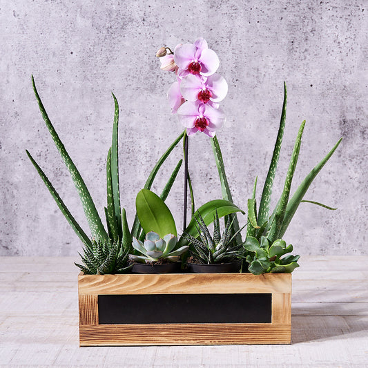 The Green Thumb Floral Gift, floral gift, floral, mothers day gift, mothers day, garden gift, garden