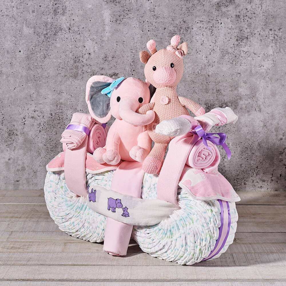 Wholesome Baby Girl Bike Gift, baby gift, baby, plush gift, plush, new baby gift, new baby, baby girl gift, baby girl, baby shower gift, baby shower Hazelton's 