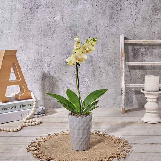 Custom Flowers - Yellow Mini Orchid