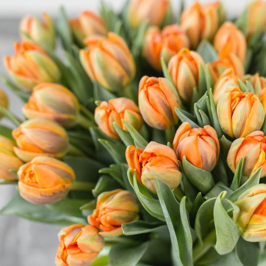 Seasonal Flower - Weekly Flower Subscription